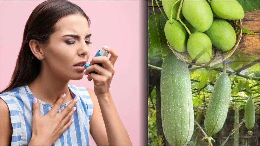 Asthmatic Patients' Home Remedy with Sponge Gourd and Mango