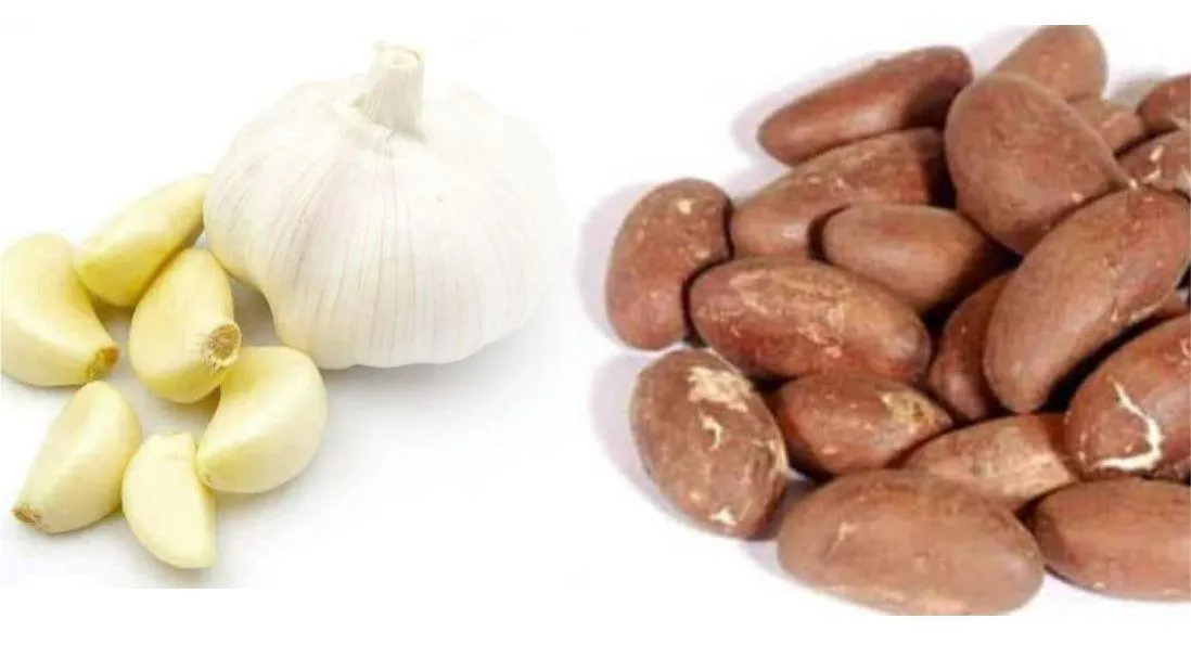 BITTER KOLA: Natural Treatments to almost all illness