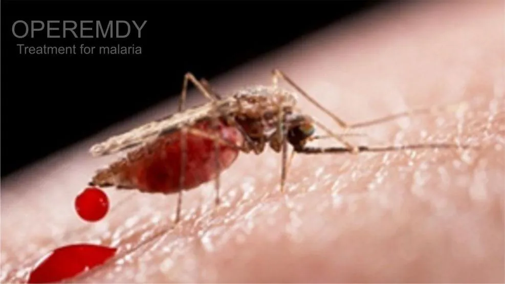 Malaria and typhoid fever can be treated using natural remedies